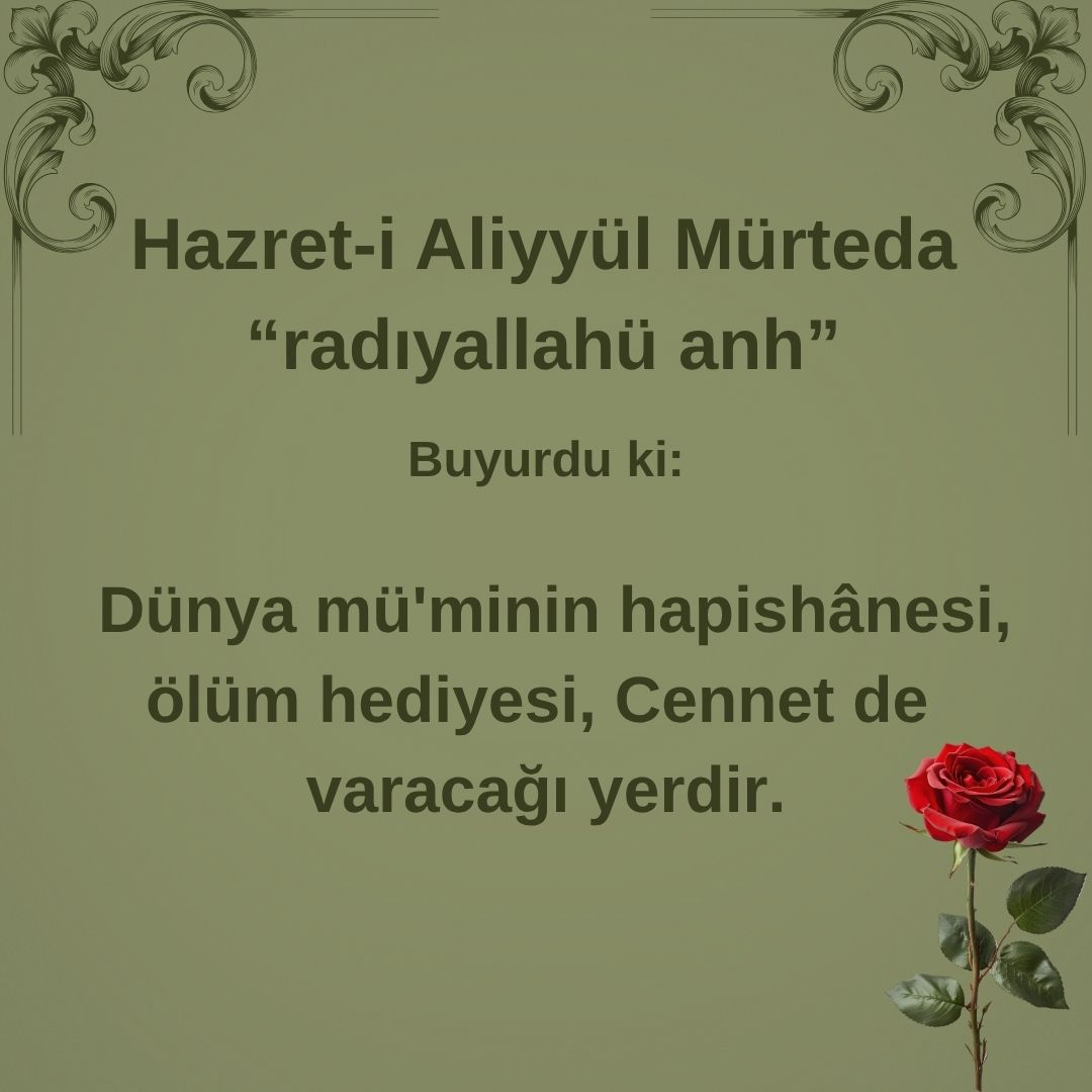 Aliyyül Mürteda (80)